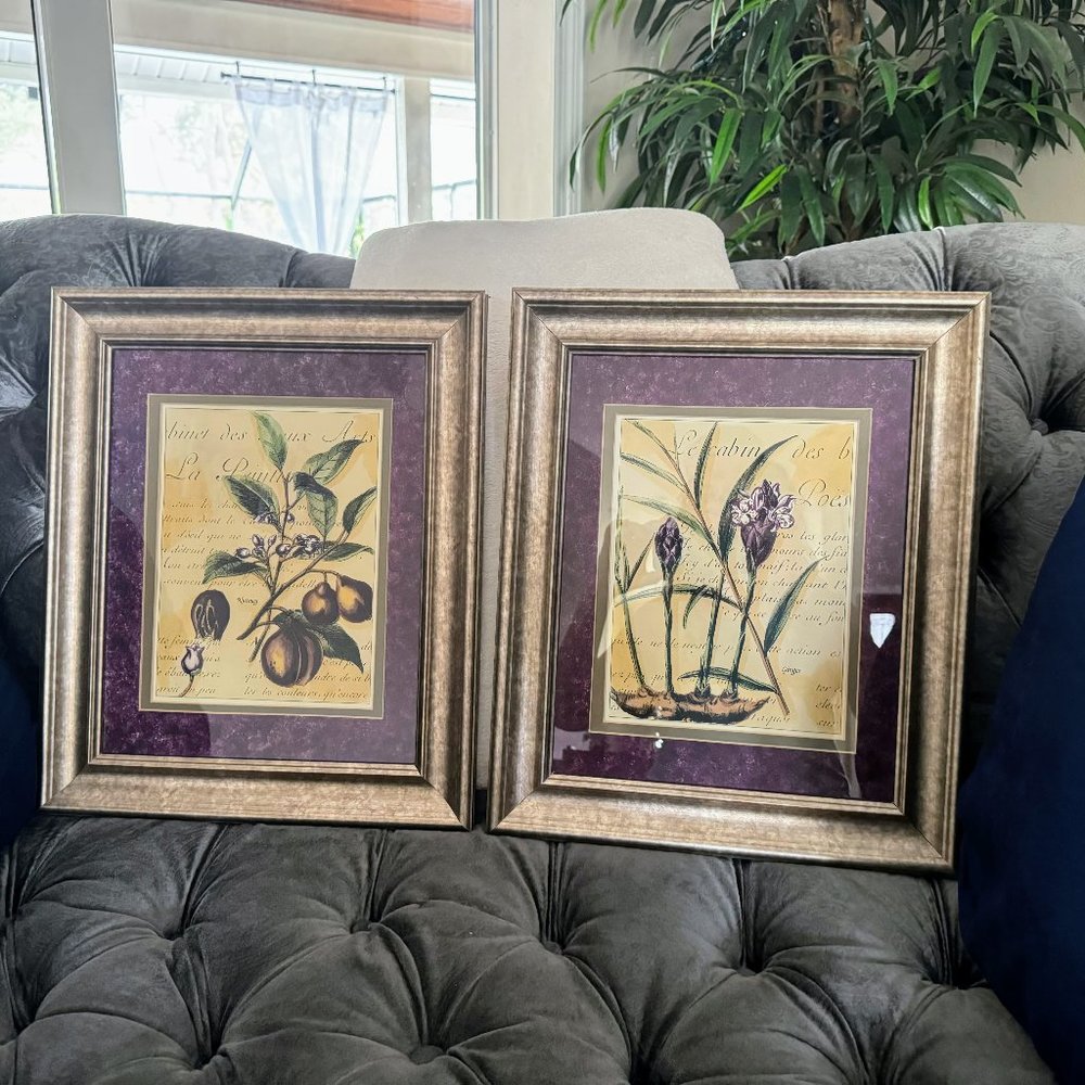 Framed Ginger, Nutmeg, Cinnamon, & Clove Kitchen Prints, by Walter H. Finch